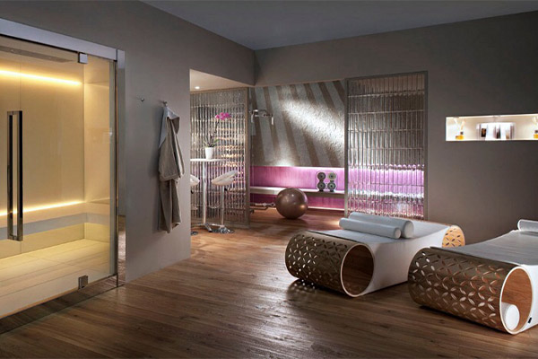 Sauna Geneve Suisse 1