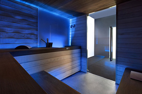 Sauna Geneve Suisse 3