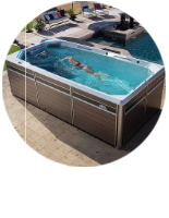 Vendeur Spas De Nage
